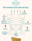 Hydration & Glow Ritual - Ayurvedic + Botanical Active Skin Reset